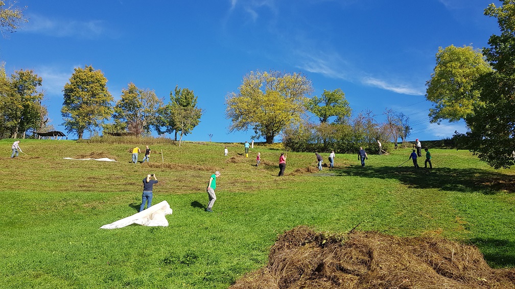 Landschaftspflegetag – für die Natur aktiv sein macht Spaß!