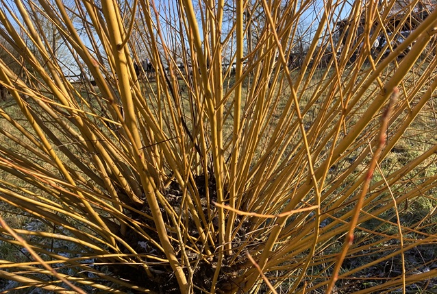 Markungsspaziergang 2026 im Mettertal