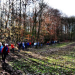 Auf den Spuren der Untergänger Auf den Spuren der Untergänger