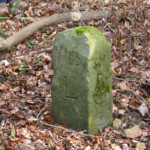 Auf den Spuren der Untergänger Auf den Spuren der Untergänger