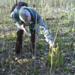 Auf den Spuren der Untergänger Auf den Spuren der Untergänger