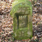 Auf den Spuren der Untergänger Auf den Spuren der Untergänger