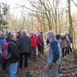 Auf den Spuren der Untergänger Auf den Spuren der Untergänger