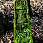 Auf den Spuren der Untergänger Auf den Spuren der Untergänger