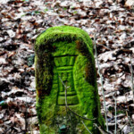 Auf den Spuren der Untergänger Auf den Spuren der Untergänger