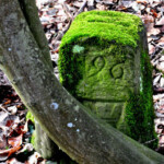 Auf den Spuren der Untergänger Auf den Spuren der Untergänger